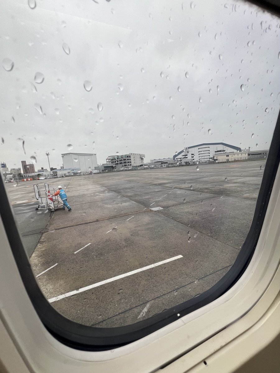 sugita alice (@komagomepipexto) / Posts / X