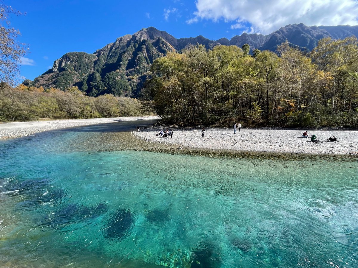 モーリス・アラン（Morris Allan）「森のある川風景」 額装20号大