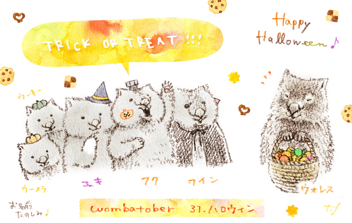 Tomomi Fujii (ずんぐりや) tweet media