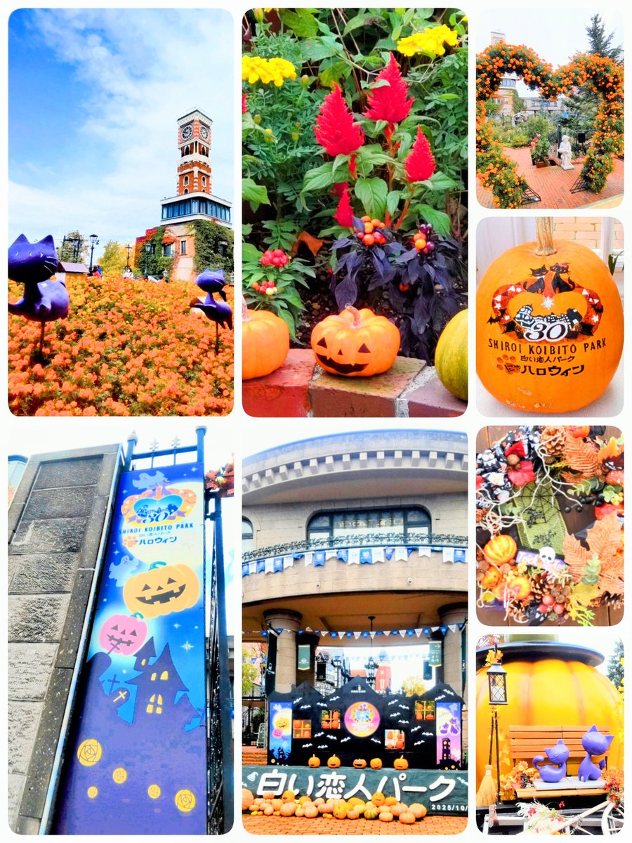 hito hitoページ ひと on X