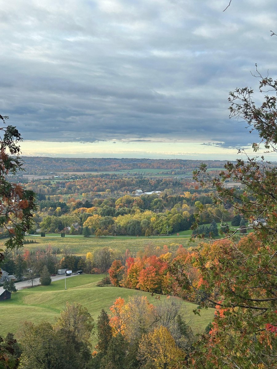 grfsociety's tweet image. Sunrise Sips &amp;amp; Autumn Hues ☕🍁

Starting the day together at 7:00 AM set a warm tone for connection, gratitude, and friendship. Sharing breakfast and nature helps us slow down, check in on one another, and build community — one simple moment at a time.

#GRFS #FriendshipInAction