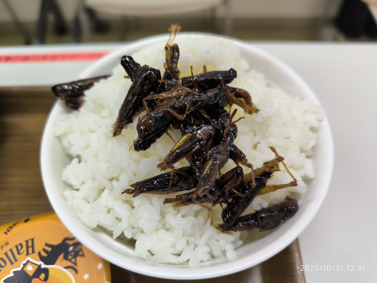 今日のひるめしもバッタ