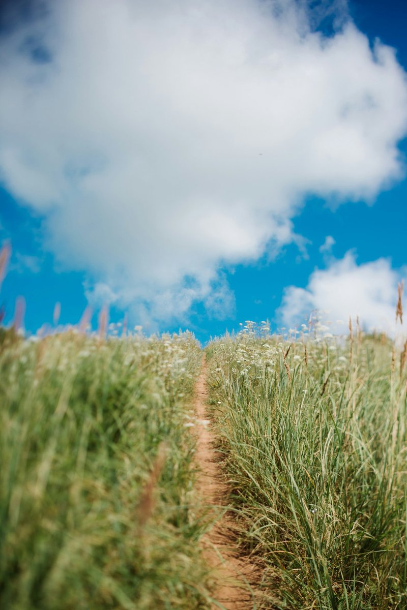 iam_enzii's tweet image. Assalamoaliekum💐

Good Morning “X” Family🌸

Stay Blessed And Be Happy😊🥀

(Mutual Rt+BM )💯