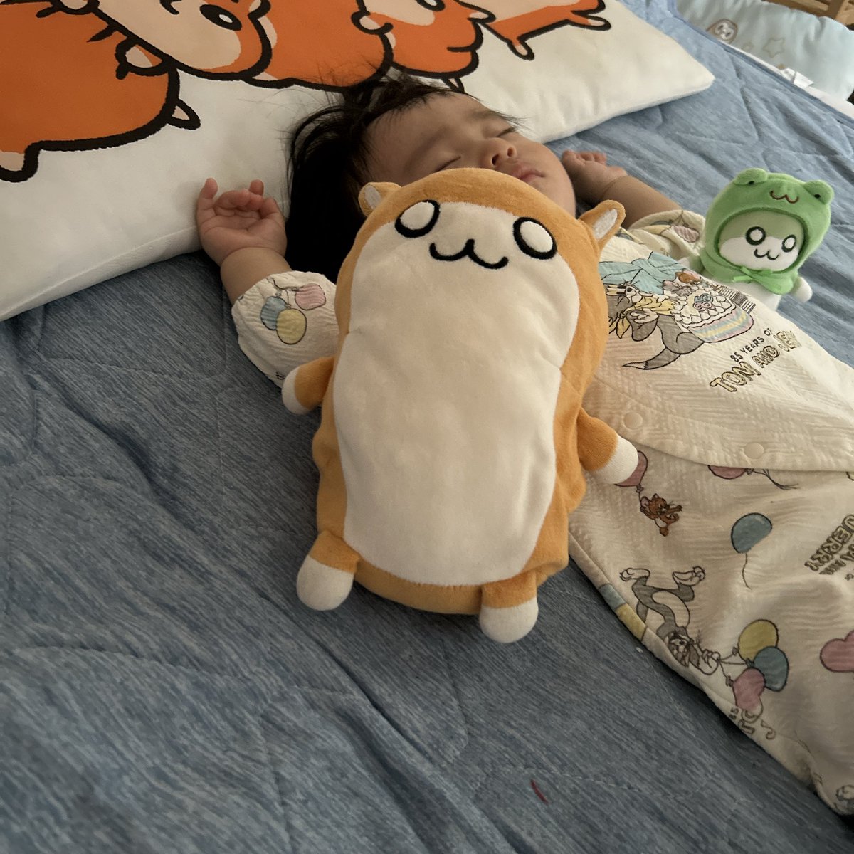 はむちゃん (@hamuhamu0317) / Posts / X