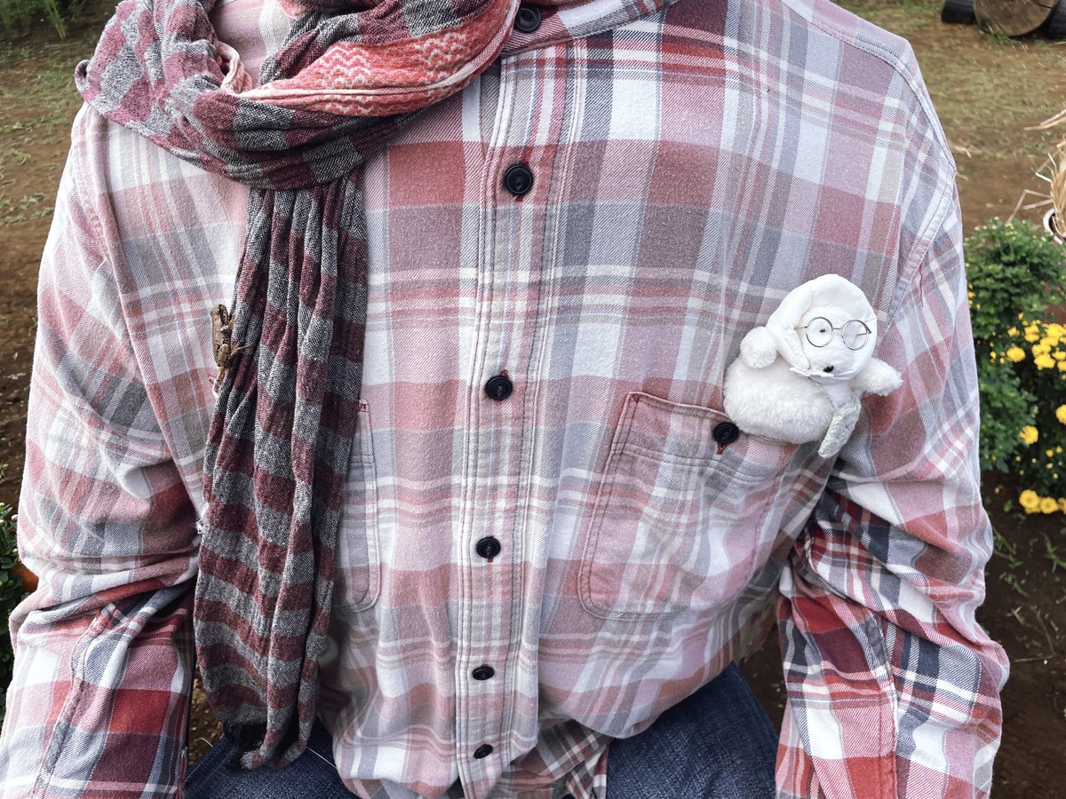 kinakoページ きなこ (@_kinakoxx) / Posts / X