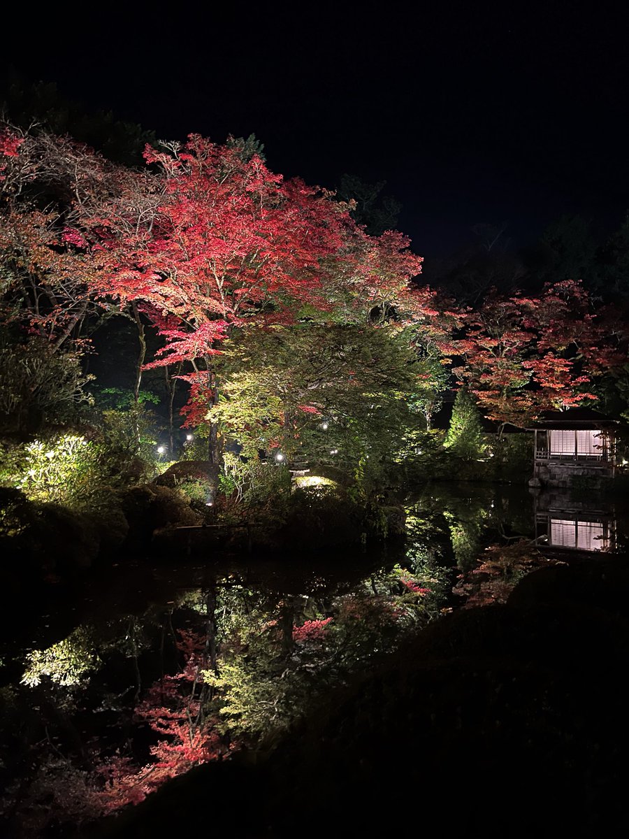 本日(10/31)17時より日光東照宮周辺ではライトアップイベントが開催されます💫日中とは異なる幻想的な秋散歩をお楽しみください🤗
詳細▷lightup-nikko.jp
※夜間は冷え込むため暖かい格好でお出かけください。
※画像は過去に撮影されたものです。
#ライトアップNIKKO
#逍遥園ライトアップ