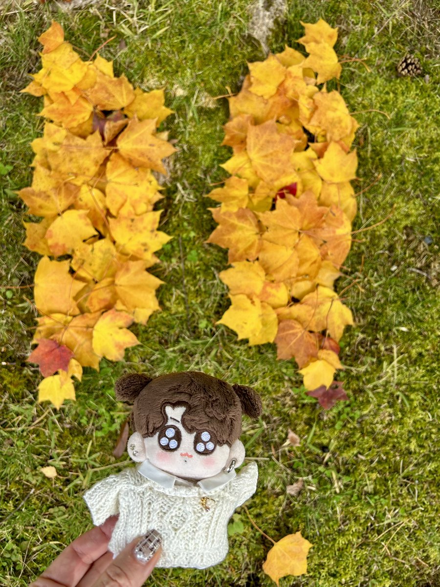 babystarcandy_g's tweet image. Kooktuggi tried fallen leaves art in Aomori Japan
昨日からトゥギと東北旅行に来てます🥰
青森に泊まって今朝のお散歩で落ち葉アートに挑戦してみたよ
うちの方ではあんまり観たことない楓が🍁
ハウチワカエデって言う種類なんだって
トゥギは去年作ってもらったDICONのニット🤍
#BTS
#JUNGKOOK