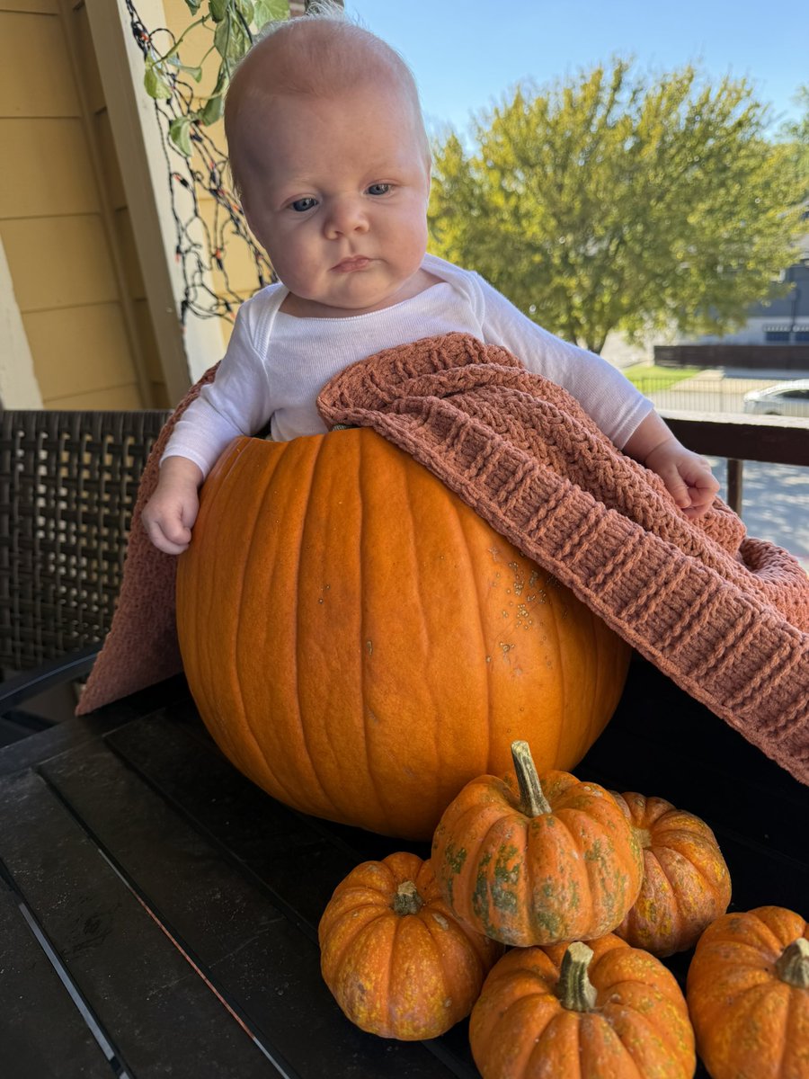 Pumpkin babies 🎃