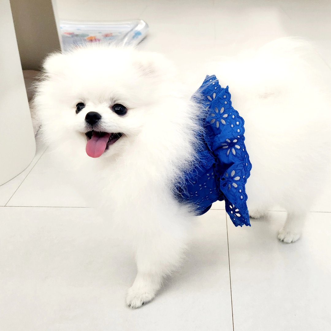 modu____'s tweet photo. 잉 .. 캔디 공주님 🤍🤍 https://t.co/2Q5zfFtP52