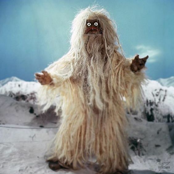 #そろそろ流行るはずの防寒着