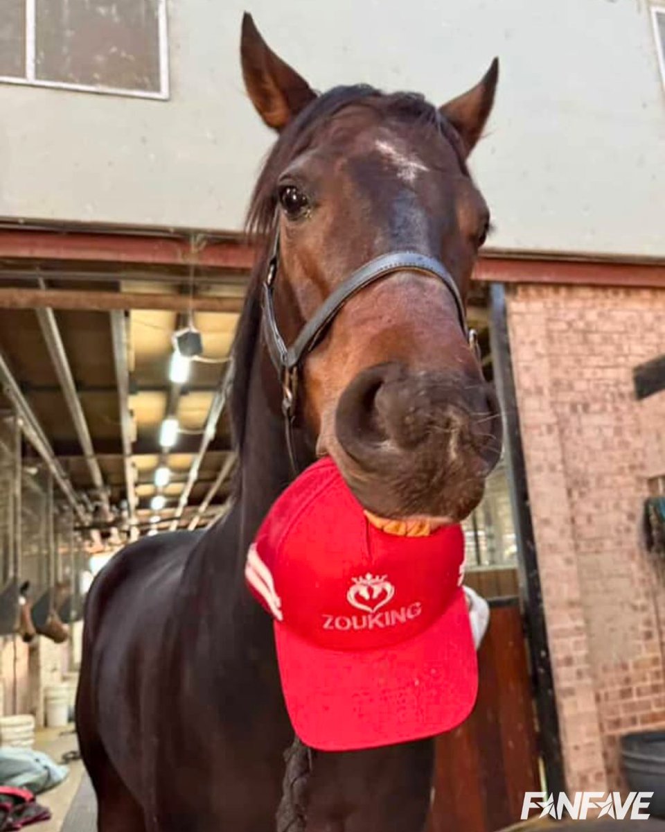 That smile when you've got your own Personalised Cap by FanFave!
📷 Queen of Hearts Racing  Personalised Trucker Cap