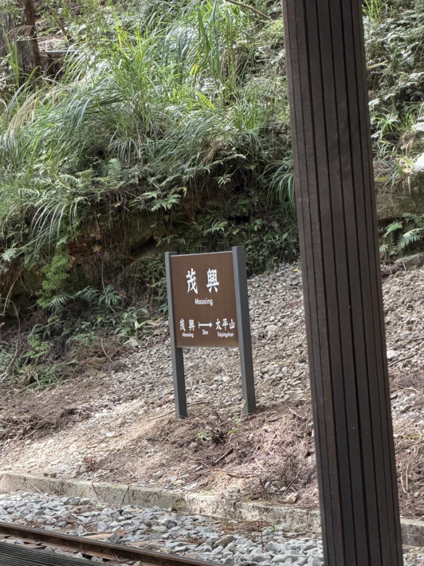 feucysdf's tweet image. 山の駅、茂興。
風の音だけが聞こえる。
静けさも、旅の一部。🌲