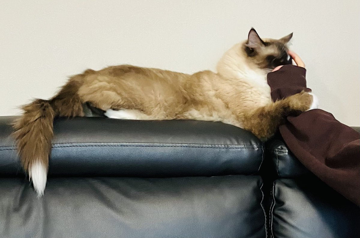 おみつ🐻 (@XnEgUjZWWYZ7dGy) / Posts / X