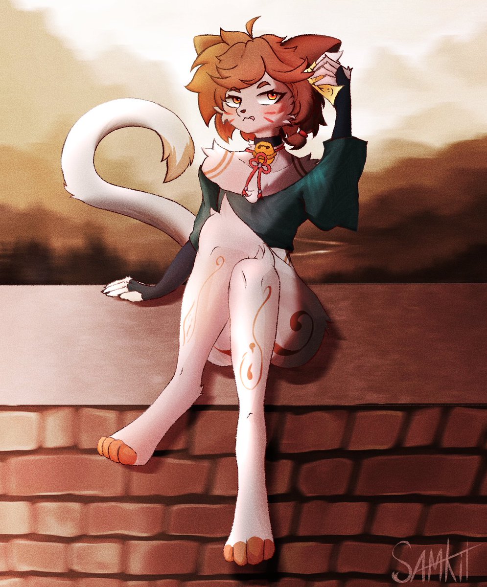 Classic neighbor cat on the wall