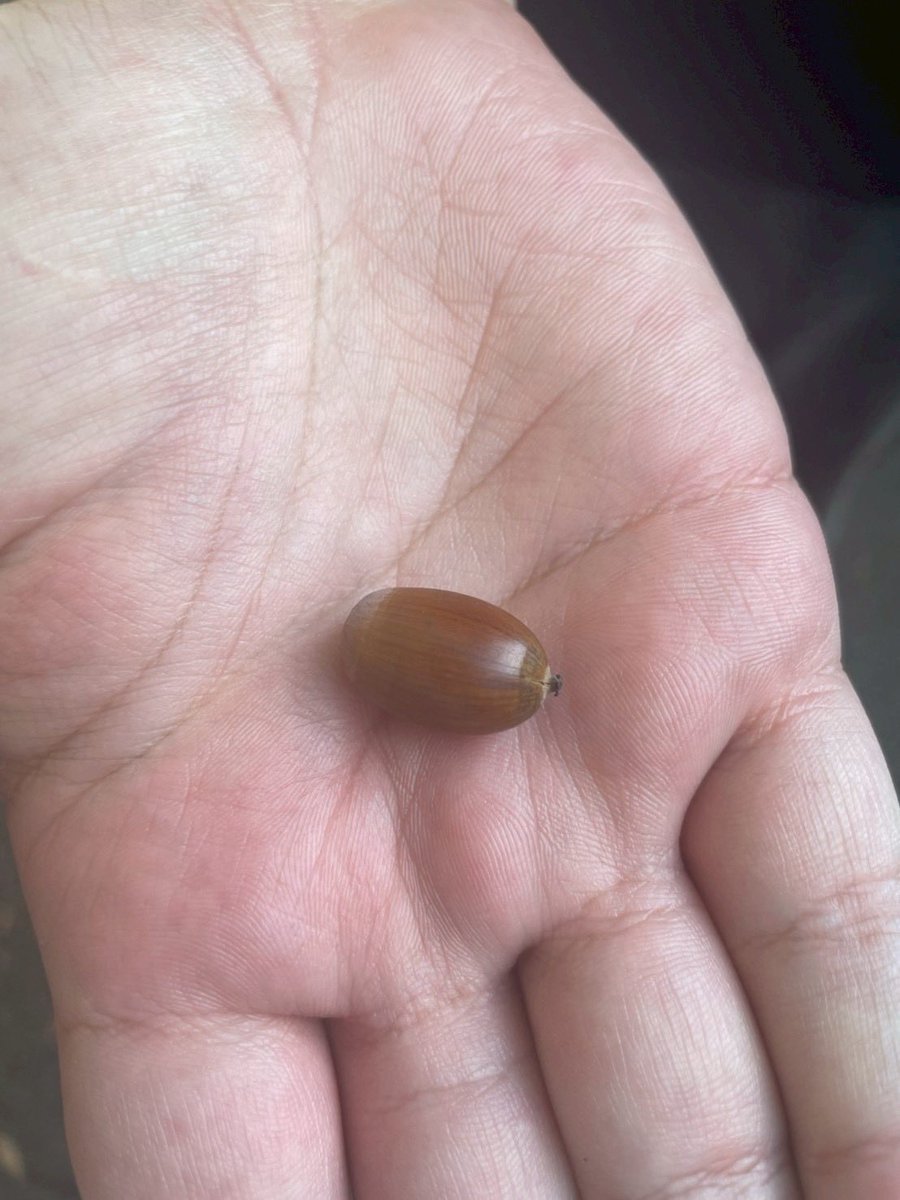 WorkWork38's tweet image. 🍁洞峰公園🍁
10月18日、秋の洞峰公園を訪れました！
気持ちの良い秋晴れの中、サッカー、フリスビー、音楽…🎶
実習生もまじえて体を動かしてリフレッシュ出来ました😊❤️