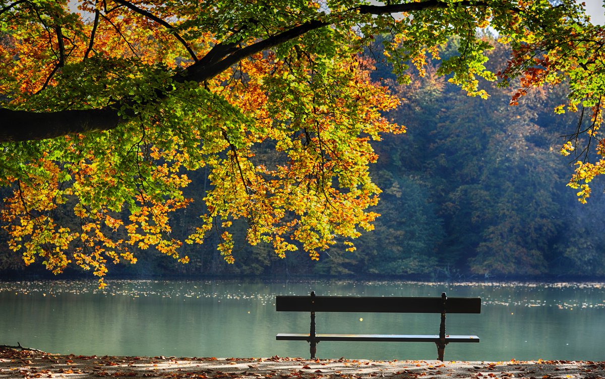 Bunalmış Müslümanlara

Unutma!

Her şey geçer, ömür de geçer, bütün tartışmalar biter, bütün gündemler değişir, bütün ünvanlar, koltuklar, makamlar geride kalır, bütün telaşlar son bulur, hayat sensiz de akıp gider. Ne yaparsan yap, kimseyi razı edemezsin, muhakkak bir eksiğin
