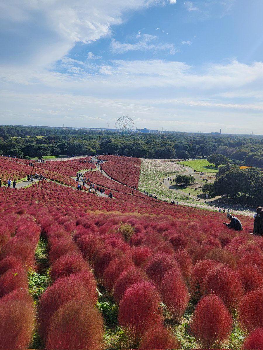 みっちぇる⭐︎プロフ必読  みっちぇる⭐︎プロフ必読 Z/Xグッズ ｜ Z/X - Zillions of