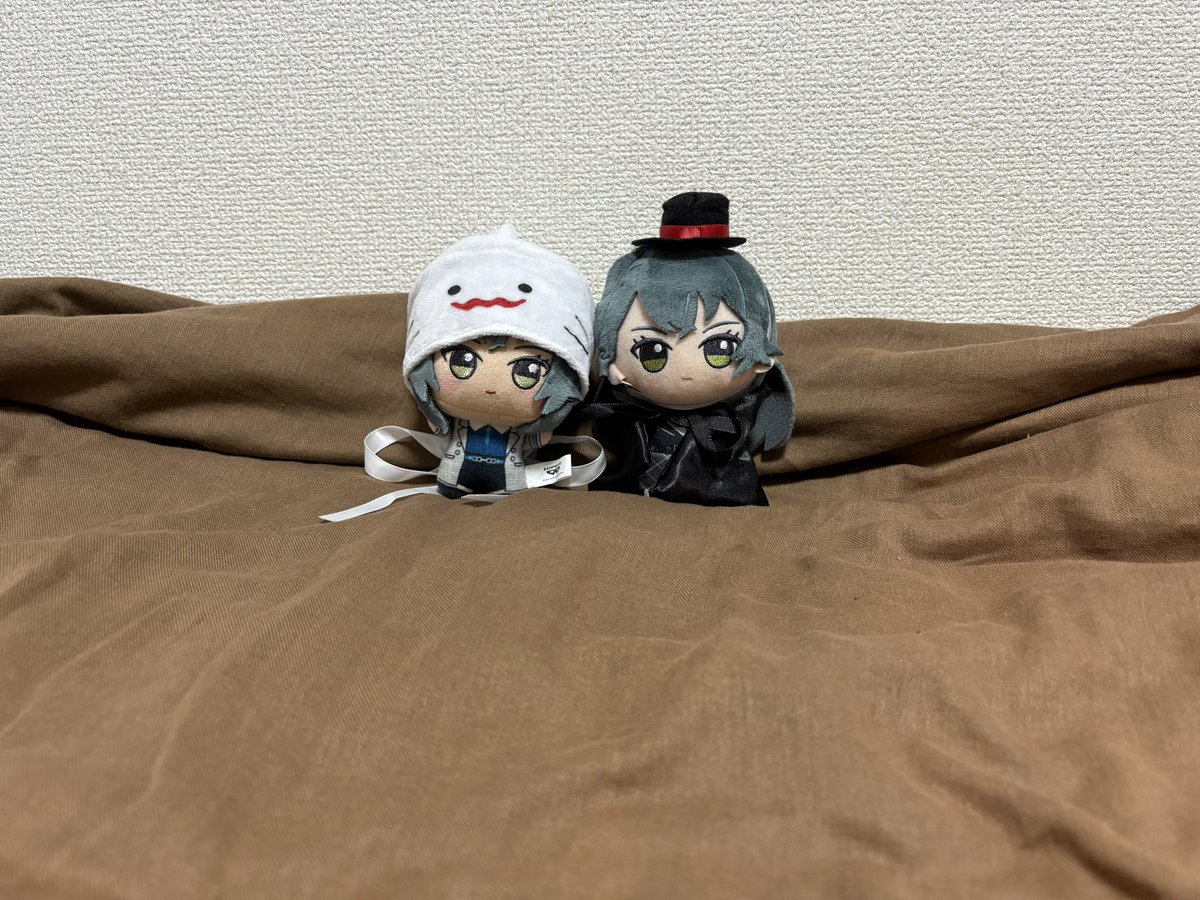 豚骨様　確認用 Z－257 BS黒本体（B） | 製品詳細 | シーピー化成株式会社