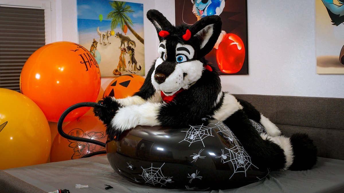 #HappyHalloween and #FursuitFriday

❗ BALLOON 💥 POP 💥CONTENT ❗

🎥 Video-Link:
youtu.be/Dy2MJO6hOZs

#furry #fursuit #Balloons #Balloon #looner