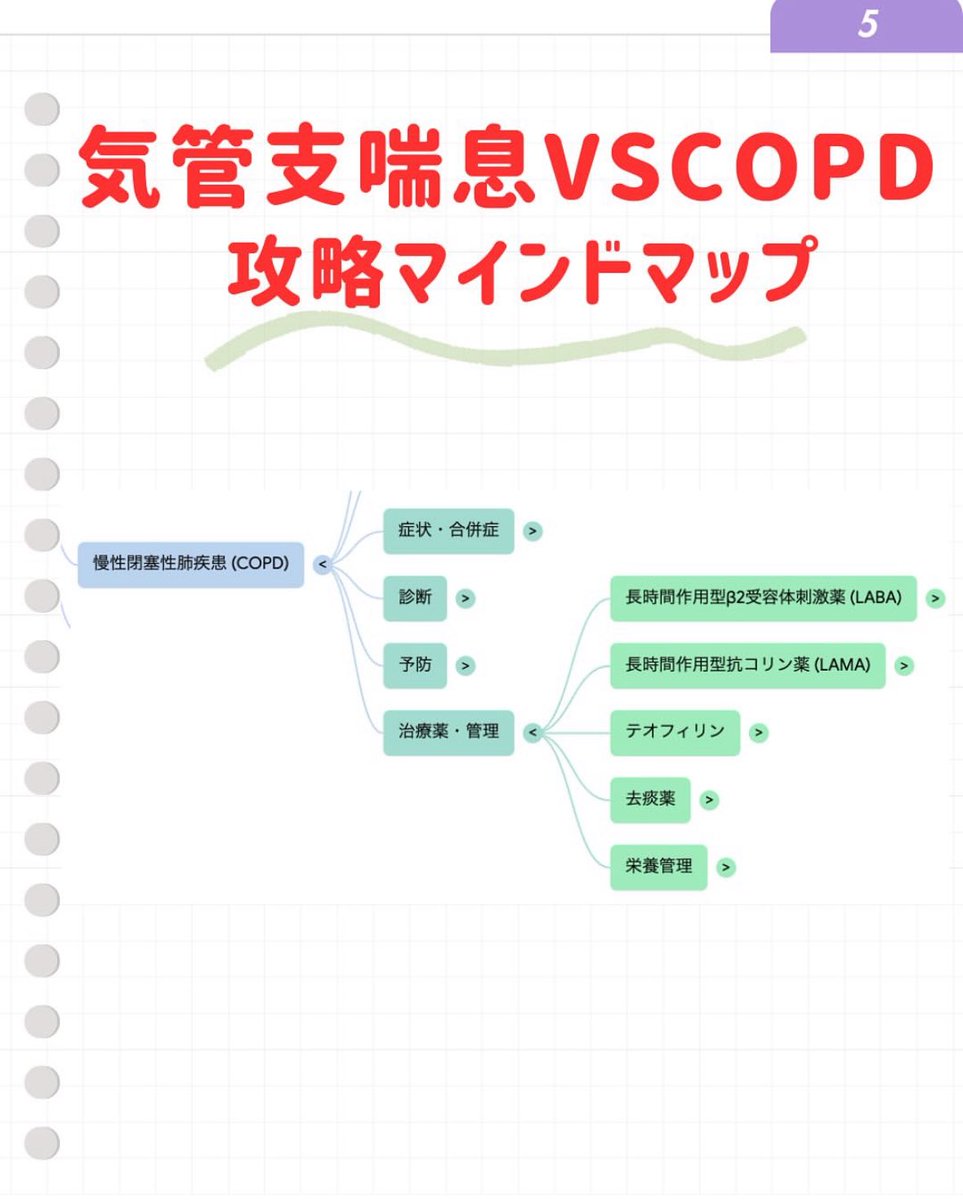 かねこち@薬学部アドバイザー on X