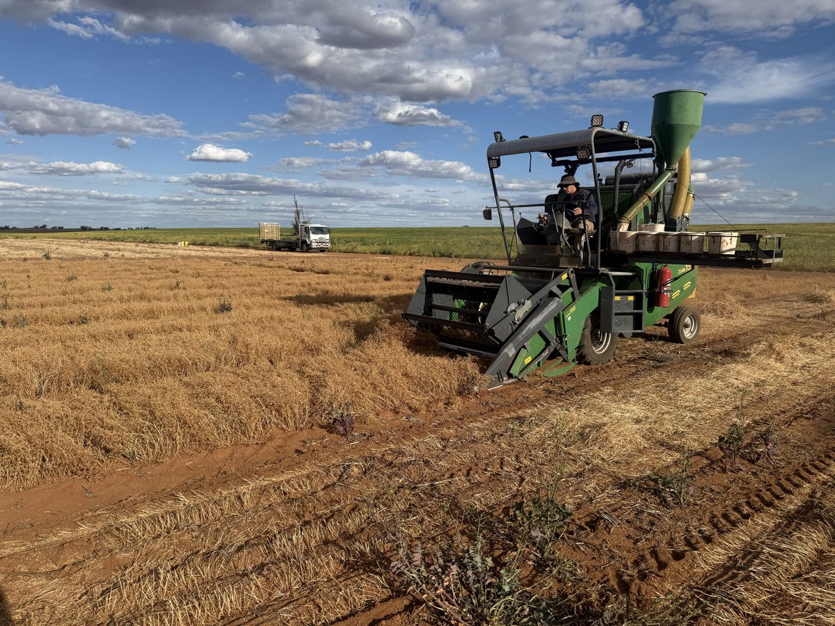 Michael Moodie tweet media