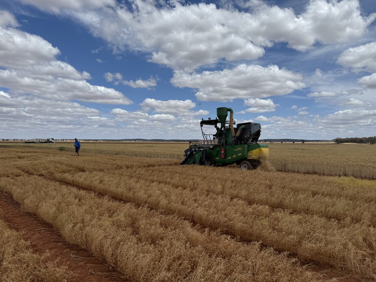 Michael Moodie tweet media