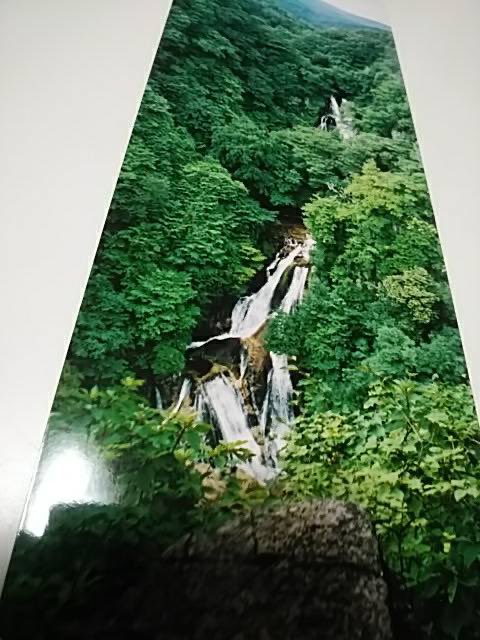 地獄太夫🇭🇰 願榮光歸香港 on X