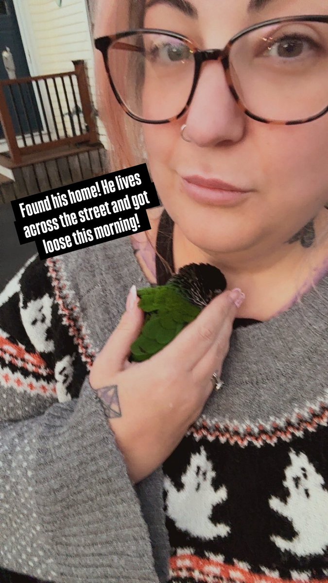 scream_it's tweet image. A couple weeks ago I got out of my car in my driveway and this random ass tropical bird flew to me and snuggled me. I eventually found its owners but you can still call me Snow White.