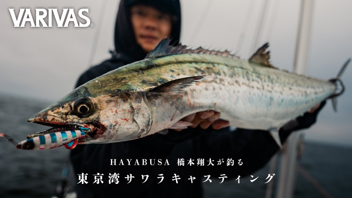 VARIVAS TR293 2本 VARIVAS TR293 2本 VARIVAS TR293 2本 Product