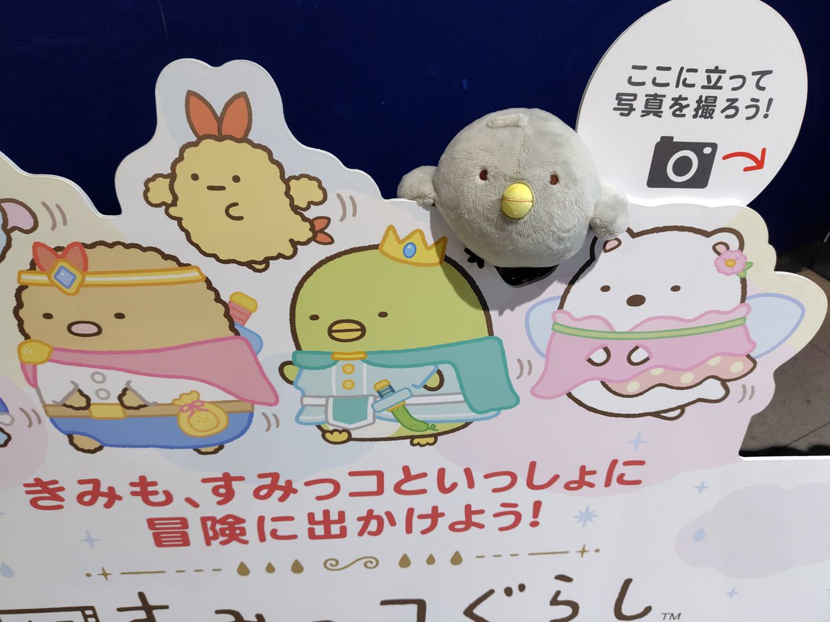 にゃんこ (@nyankonyanko20) / Posts / X