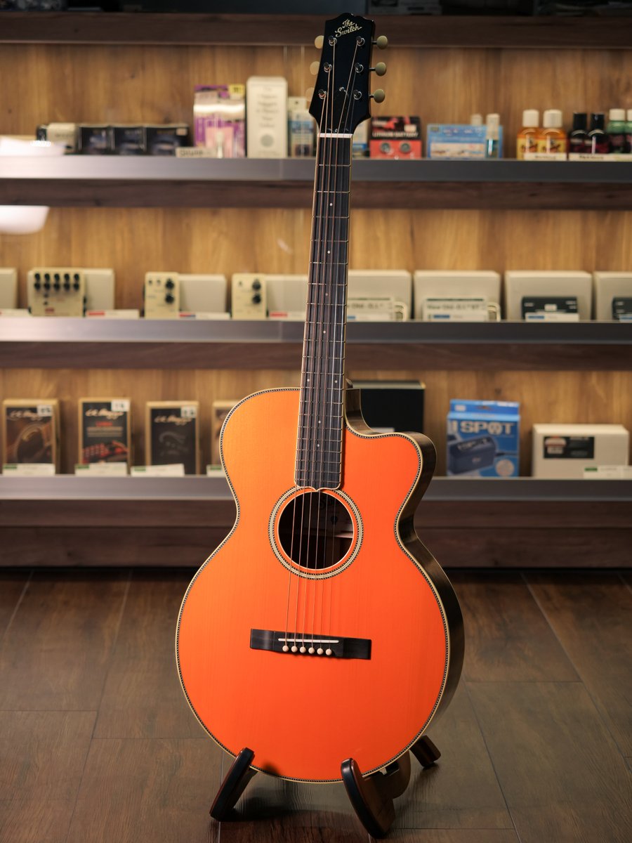 ドルフィンギターズ on X