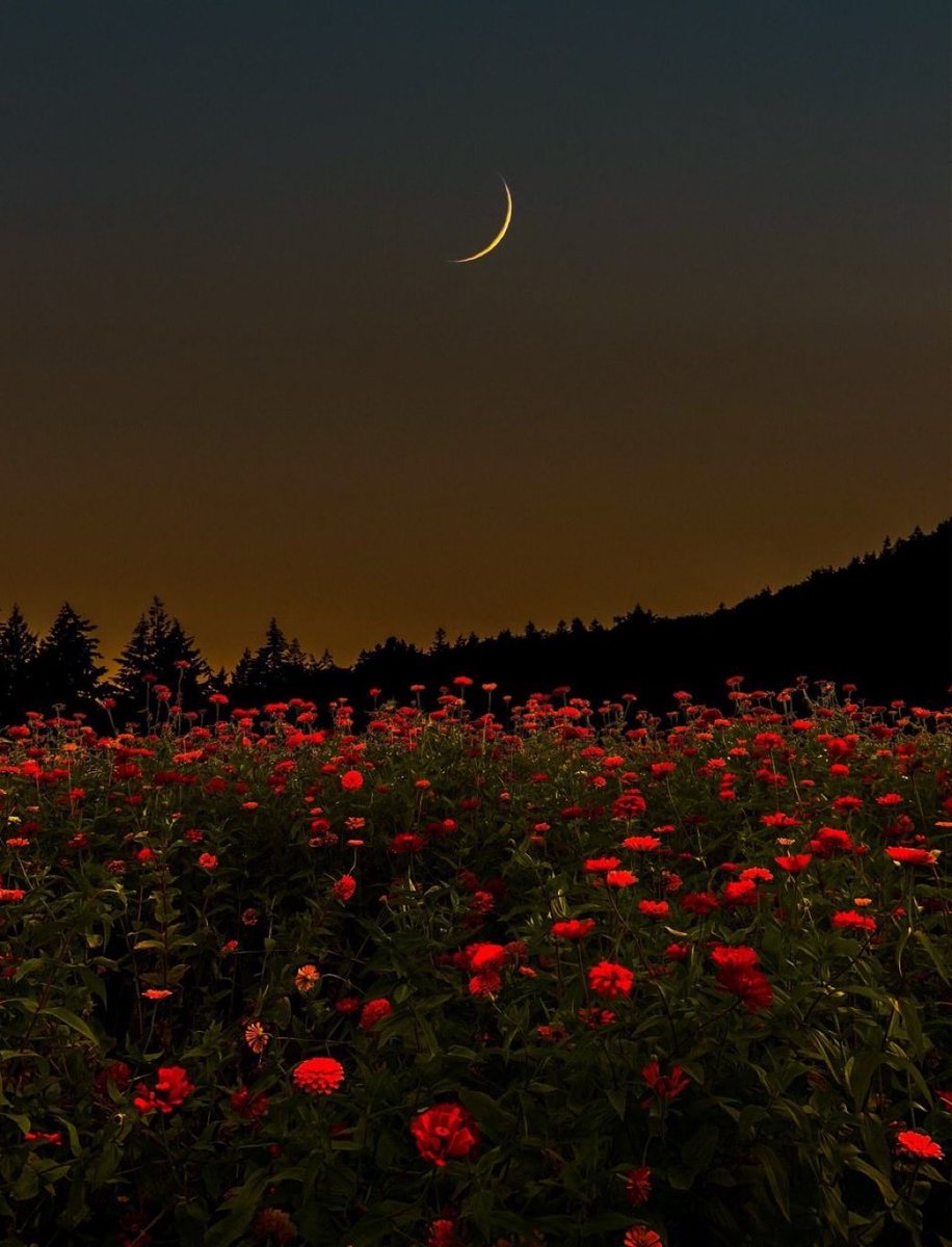 Hayırlı cum‘a lar.
Huzurlu ve bereketli günler.🙏