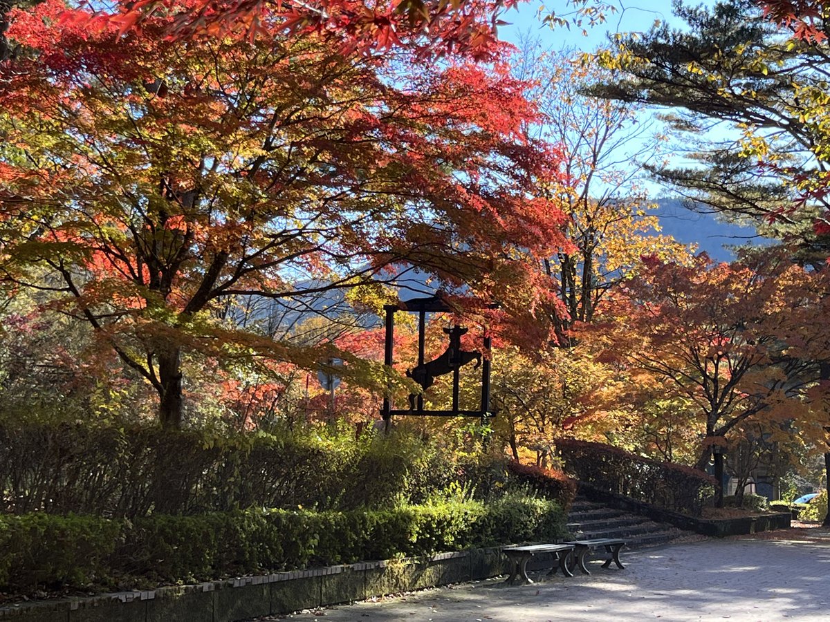 もりたろう on X