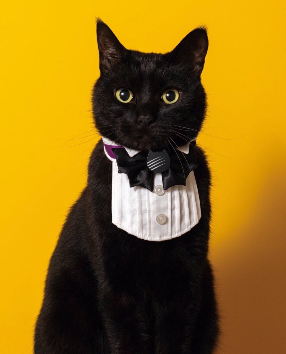 ふたばページ♡⃜ 双葉 (@Hutaba_0718) / Posts / X