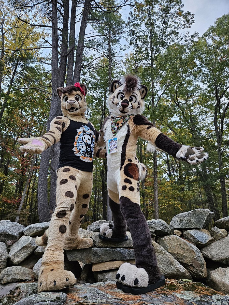 ChirpyCheetah's tweet image. Happy #FursuitFriday!!! I&apos;m at a con so it&apos;s kitty time for @Cheetalot and me!!! :3