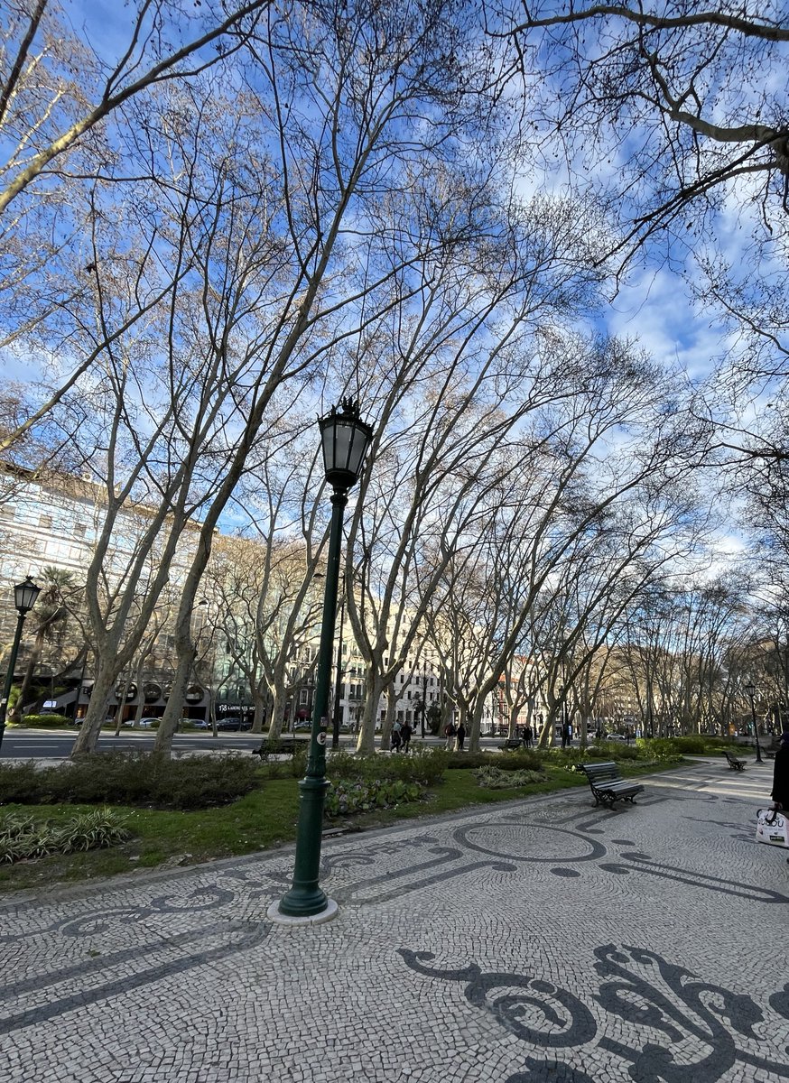 様子見てましたがまだ体調優れないため
本日までアトリエお休みとさせていただきます🙇

明日土曜はオープンできると…思います🙇