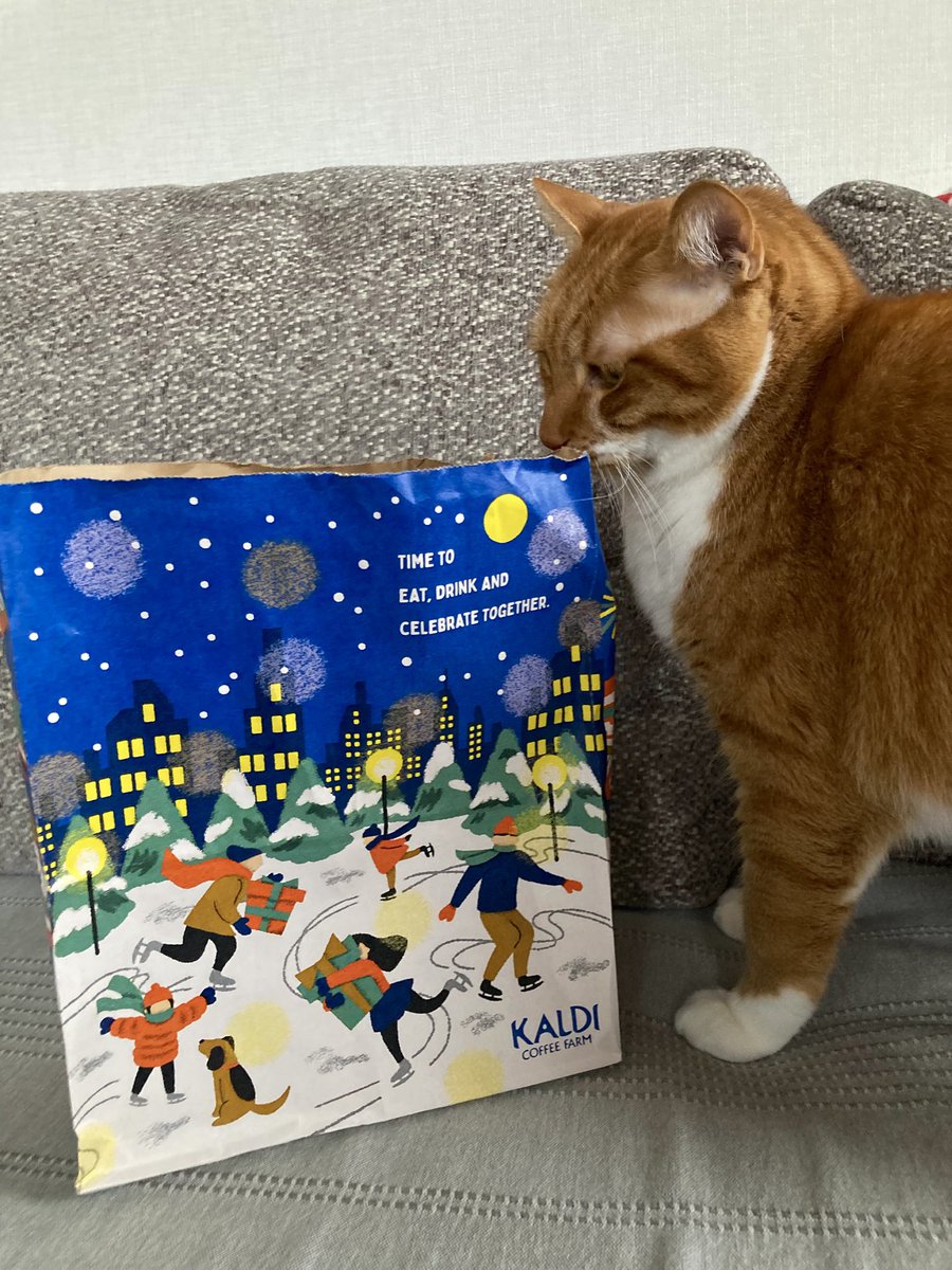 三毛猫♡ 三毛猫 おこげ (@calicocat_okoge) • Instagram photos and videos