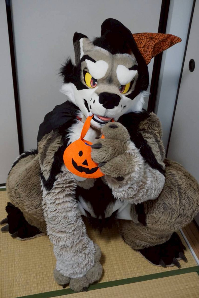 Trick or Treat🐺✨🍬🍫🍭🍪🍩