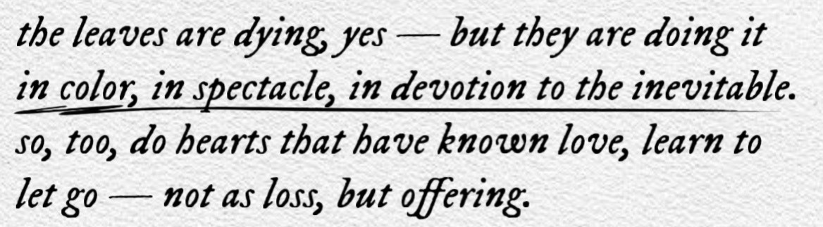 Literarium (@literarium12) on Twitter photo 