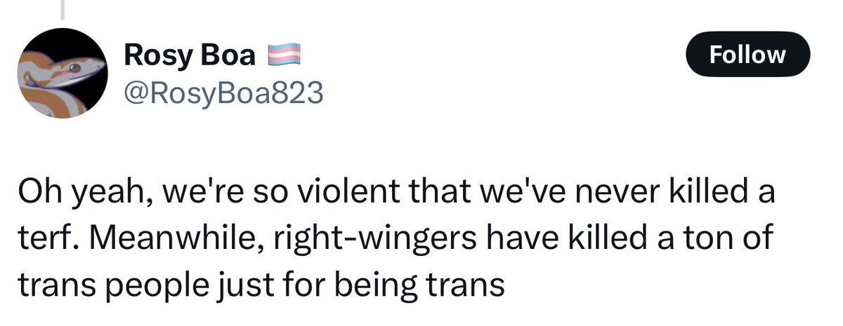 Y’all punched a 70-year-old woman in the head so hard you fractured her skull. You have had convicted torturers tell cheering crowds to punch women in the face, and the only reason that KJK did not get lynched at Let Women Speak Auckland is that her security went above and beyond