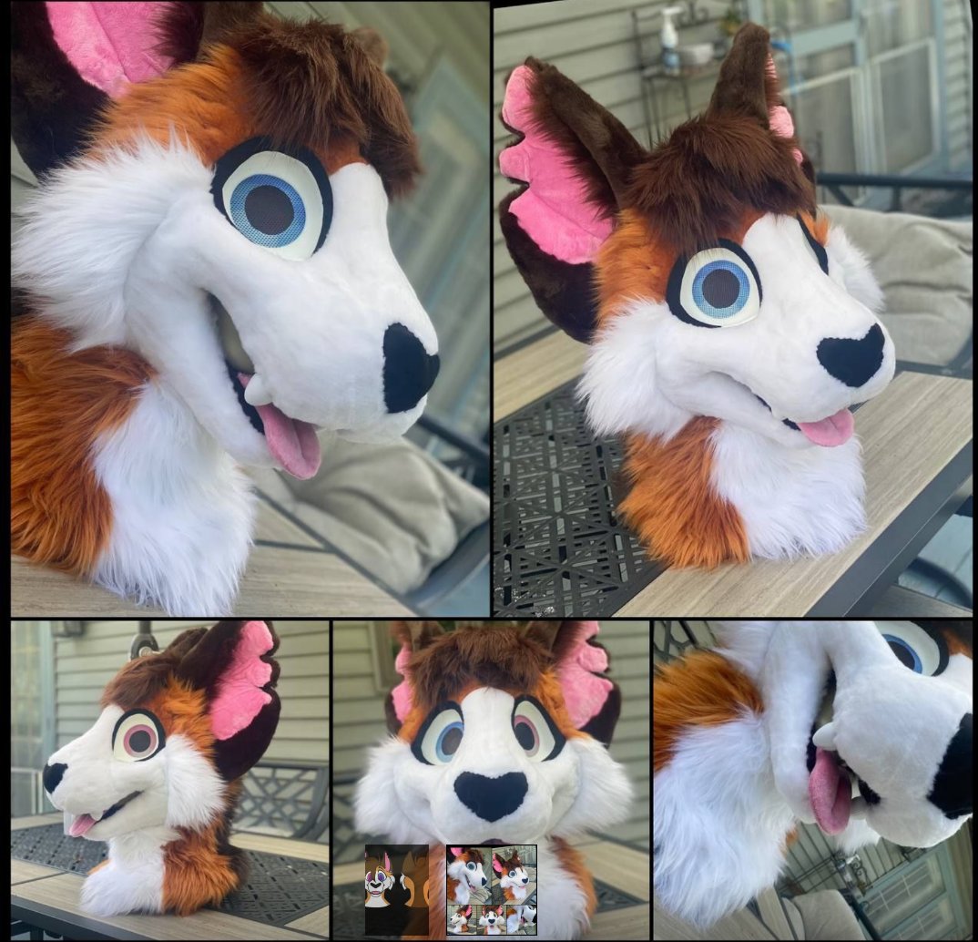 Fursuit Review tweet media