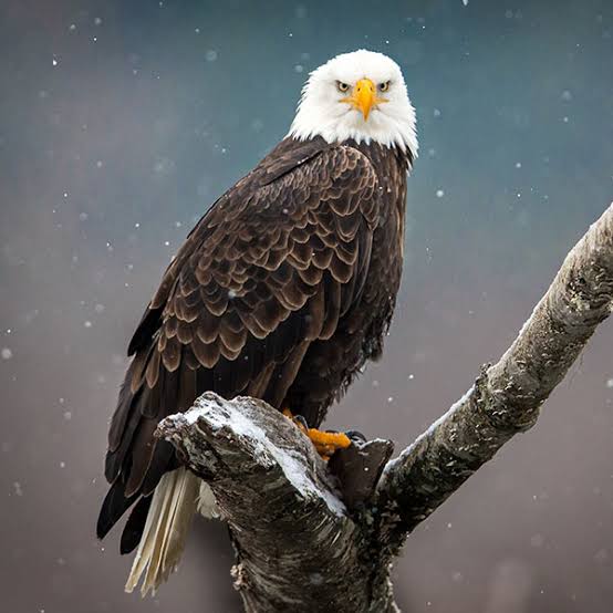 Web3_geth's tweet image. Every blockchain and Web3 project needs more than just a big idea, it needs great tech.

The best infrastructure wins, because that’s what you’re really selling.

Remember: Bitcoin isn’t money, it’s software.

GM &amp;amp; have a great day.