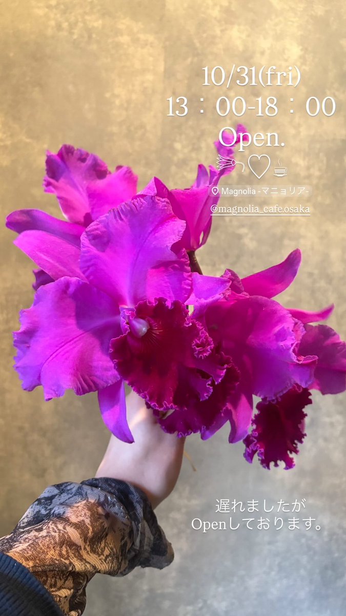 ハイドランジア マグノリア Magnolia マニョリア (Flowershop x Cafe) on X