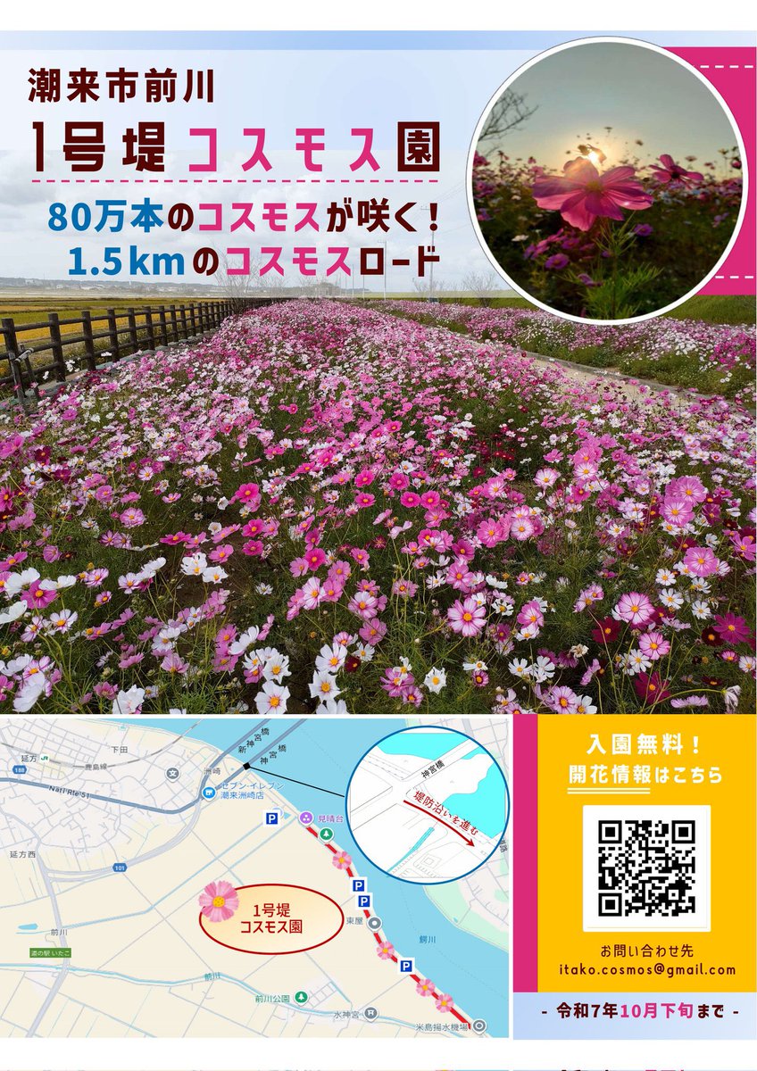 コスモス様 マデリン Sotheby's to AuctionA Singular, One-of-a-Kind