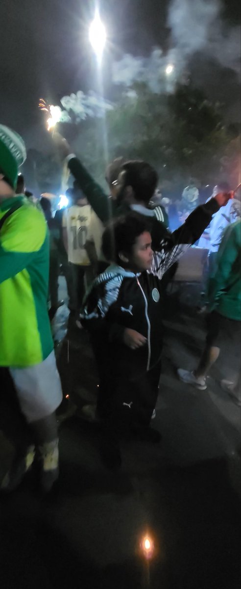 EUPALMEIRAS1975's tweet photo. Explicar a emoção de ser palmeirense, a um palmeirense, é totalmente desnecessário. E a quem não é palmeirense... É simplesmente impossível! 
#timedaviradatimedoamor #libertadores #Palmeiras #semifinais #GloriaEterna #osporkoeloko #corredorverde #manchaverde https://t.co/IDLwaj6tjn