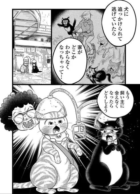 『その猫!大五郎!!』
第16話【飼い主と猫①】更新!

前回助けた黒猫と大五郎が再会!
黒猫が家への帰り道がわからなくなっていて…。どうする大五郎!?

↓ゴラクうぇぶ!で読む!
https://t.co/J26LL1AUx4 