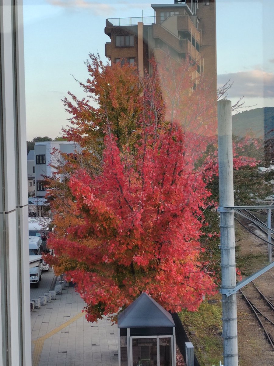 夏爺 (@PbbZVzRXSO3RuDZ) / Posts / X