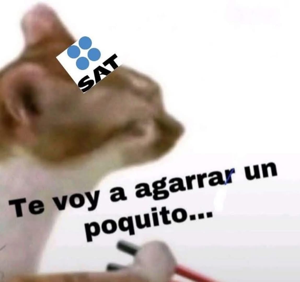 Guarromantico_'s tweet image. *Me cae el aguinaldo*

El SAT: