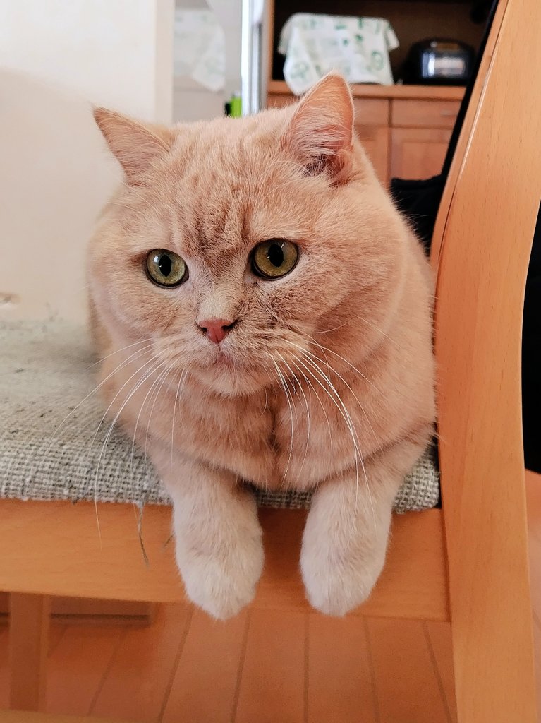 みかん (@5n9MFuuh521K1Sz) / Posts / X