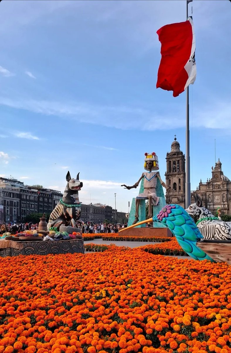 La CDMX es un campo de cempasúchil.